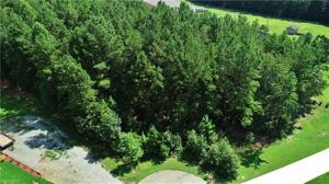 169 Old Brushy Drive