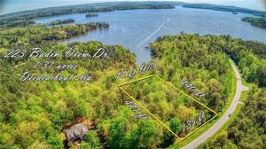 223 Badin View Drive