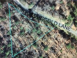 00 Marigold Lane Lot 009