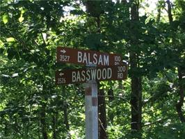 239 Basswood Road Lot 486
