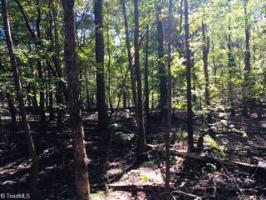 166 Miners Trail