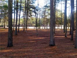 149 Yadkin Falls Road Lot 19