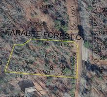 125 Farabee Forest Court