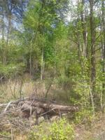 1402 Woodpine Drive