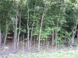 1897 Beckner Road