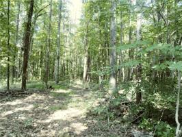 606 Whitfield Drive