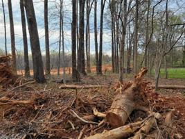 602 Whitfield Drive