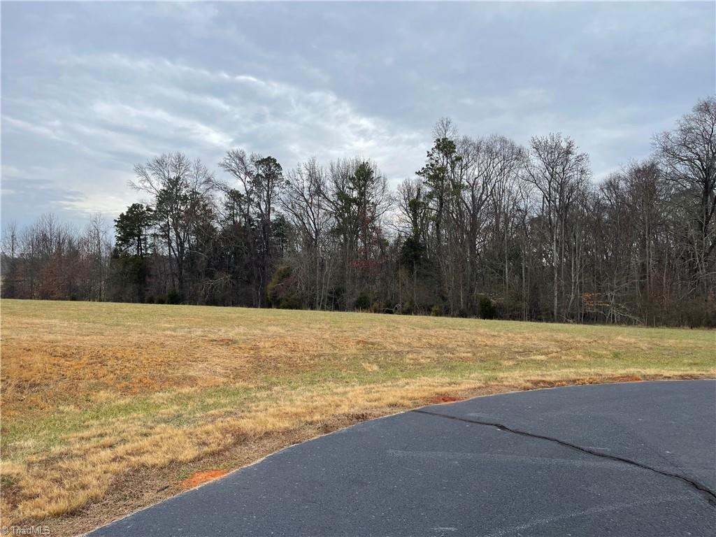 293 Kendrick's Cove, Lexington, NC lhrmls01446844