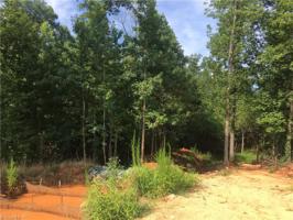 158 Owl's Nest Lot 21