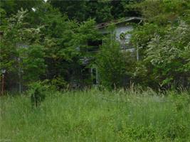 13321 NC Highway 119