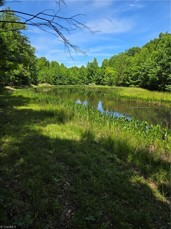 Image 1: Back of lot with pond view