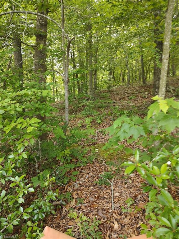 Image 3: Beautiful mature trees