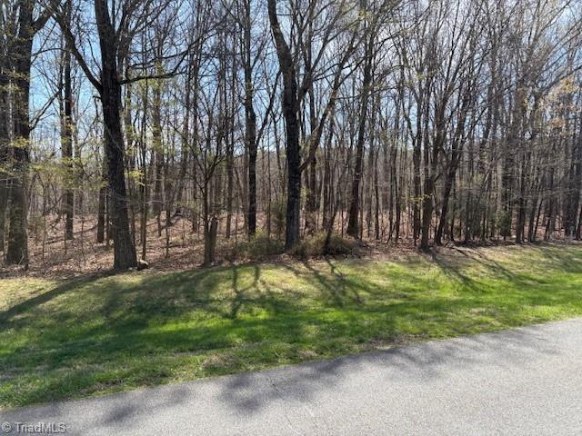 Image 1: Beautiful wooded tract
