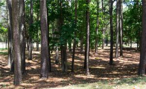 145 Yadkin Falls Road Lot 20