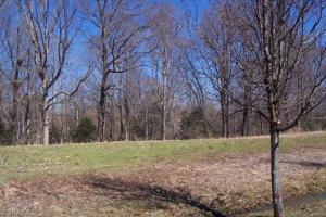 LT 13 Lakepoint Drive