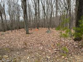 282 Cascading Creek Trail