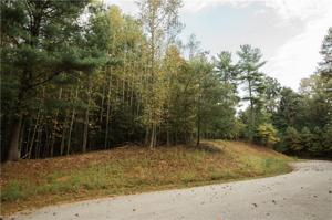 Lake Lot 1 Williams Farm Road