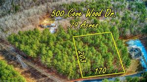 500 Cove Wood Drive