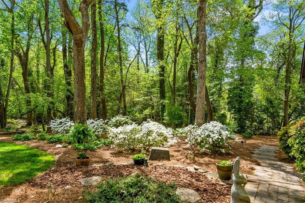 Image 3: Beautifully landscaped yard