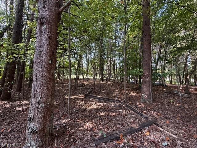 Image 3: Wooded Lot