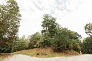 Lake Lot 3 Williams Farm Road