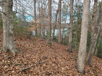 Lot 10 Lakepoint Drive