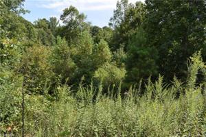 264 Wolf Creek Trail