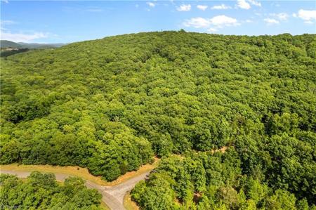 159 Pinnacle Trail
