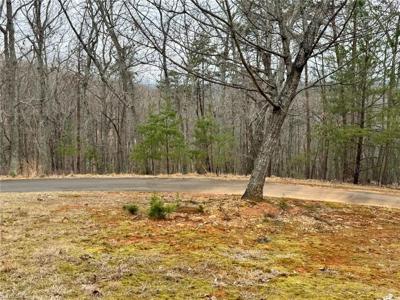 295 Cascading Creek Trail