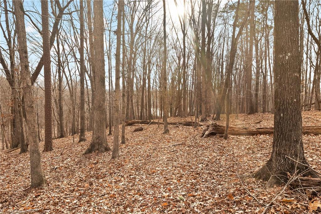 Image 2: Proper home placement and thinning of trees can give you a small view of the lake!