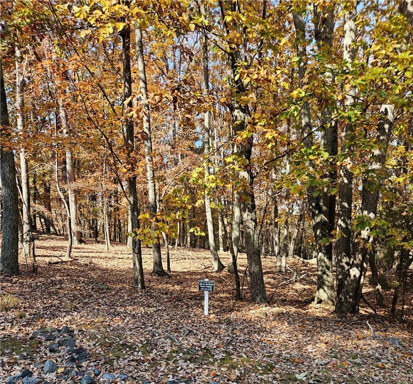 Image 2: Lot 13
