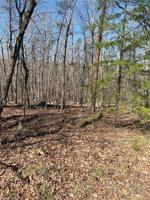 738 Rocky Cove Lane
