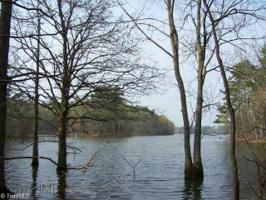 135 Emerald Isle Court