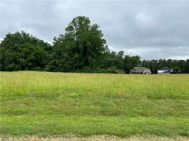 338 Scout Road