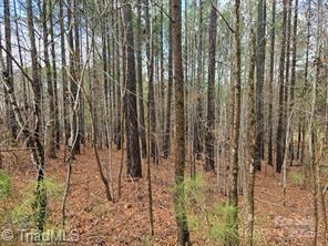 225 Cove Wood Drive