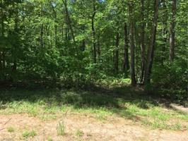 00 Forest Glen Lane