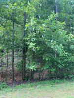 121 N Miners Trail