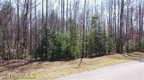 Lot #18 Blue Mountain Drive