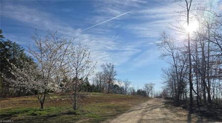 199 Rose of Sharon Lane