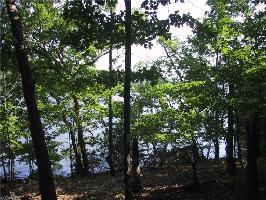 1336 Rocky Cove Lane Lot 43+43A