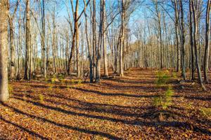 0 Horton Pond Road