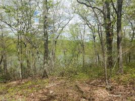 1184 Rocky Cove Lane
