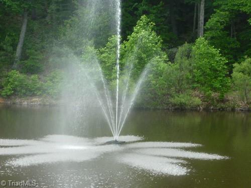 Image 4: Pond at entrance