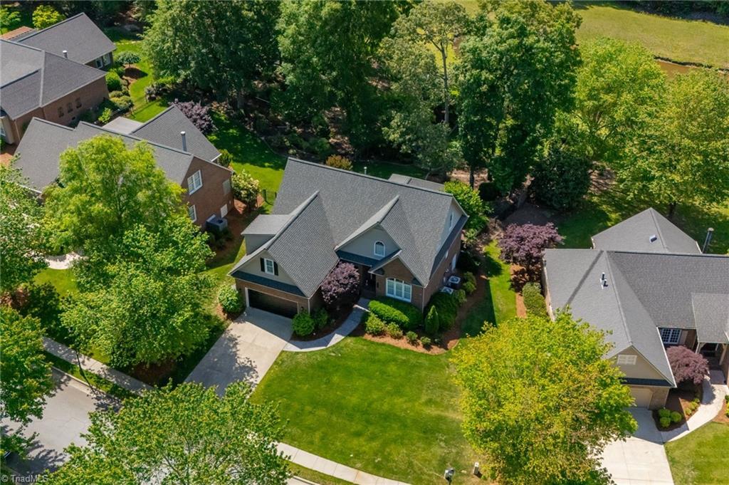 Image 3: Wooded backyard views
