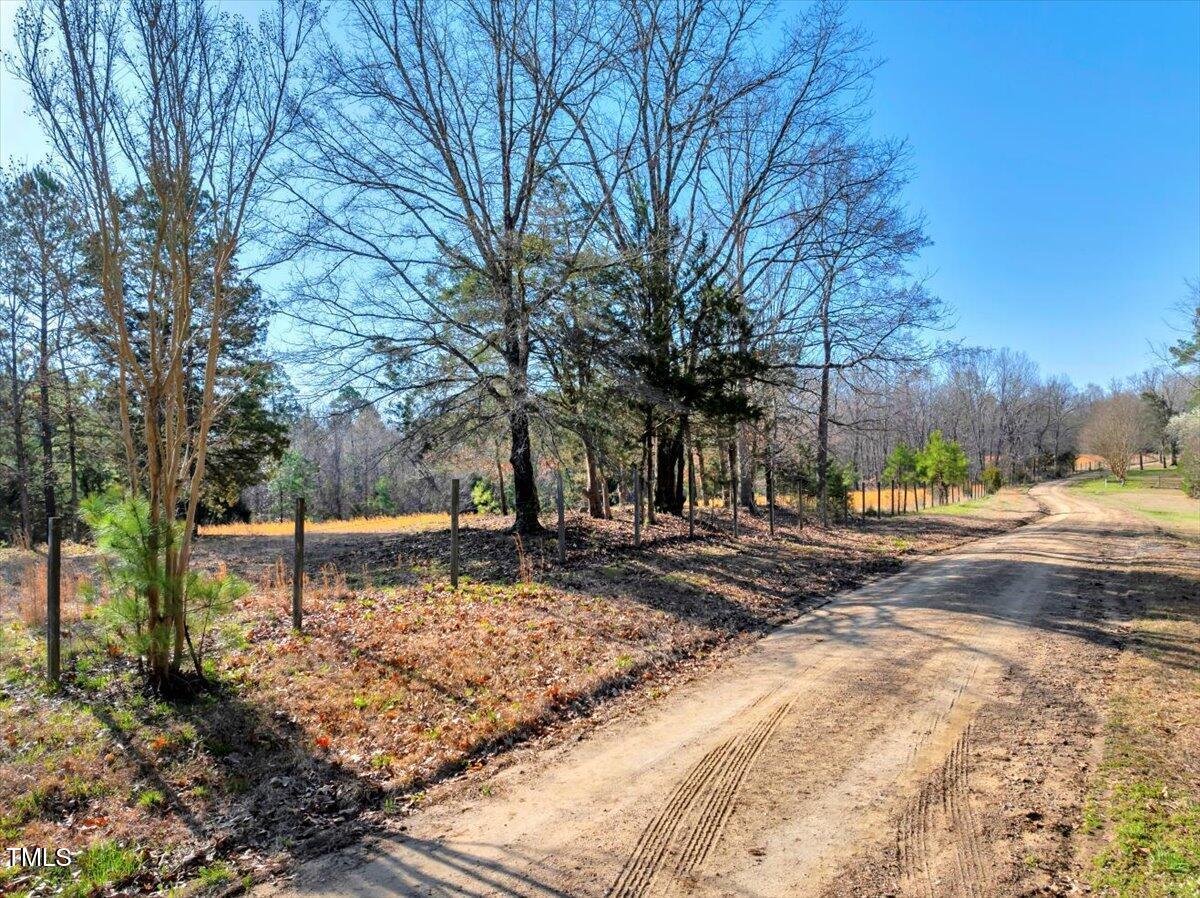 Image 3: 03-DJI_20250322095337_0001_D