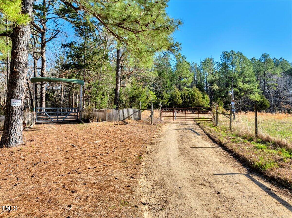 Image 4: 04-DJI_20250322095401_0004_D