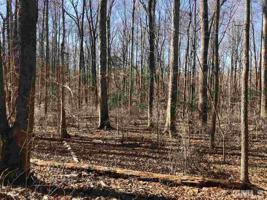 355 Eddie Perry Road