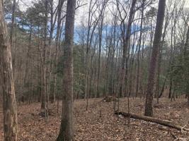 286 Osprey Drive