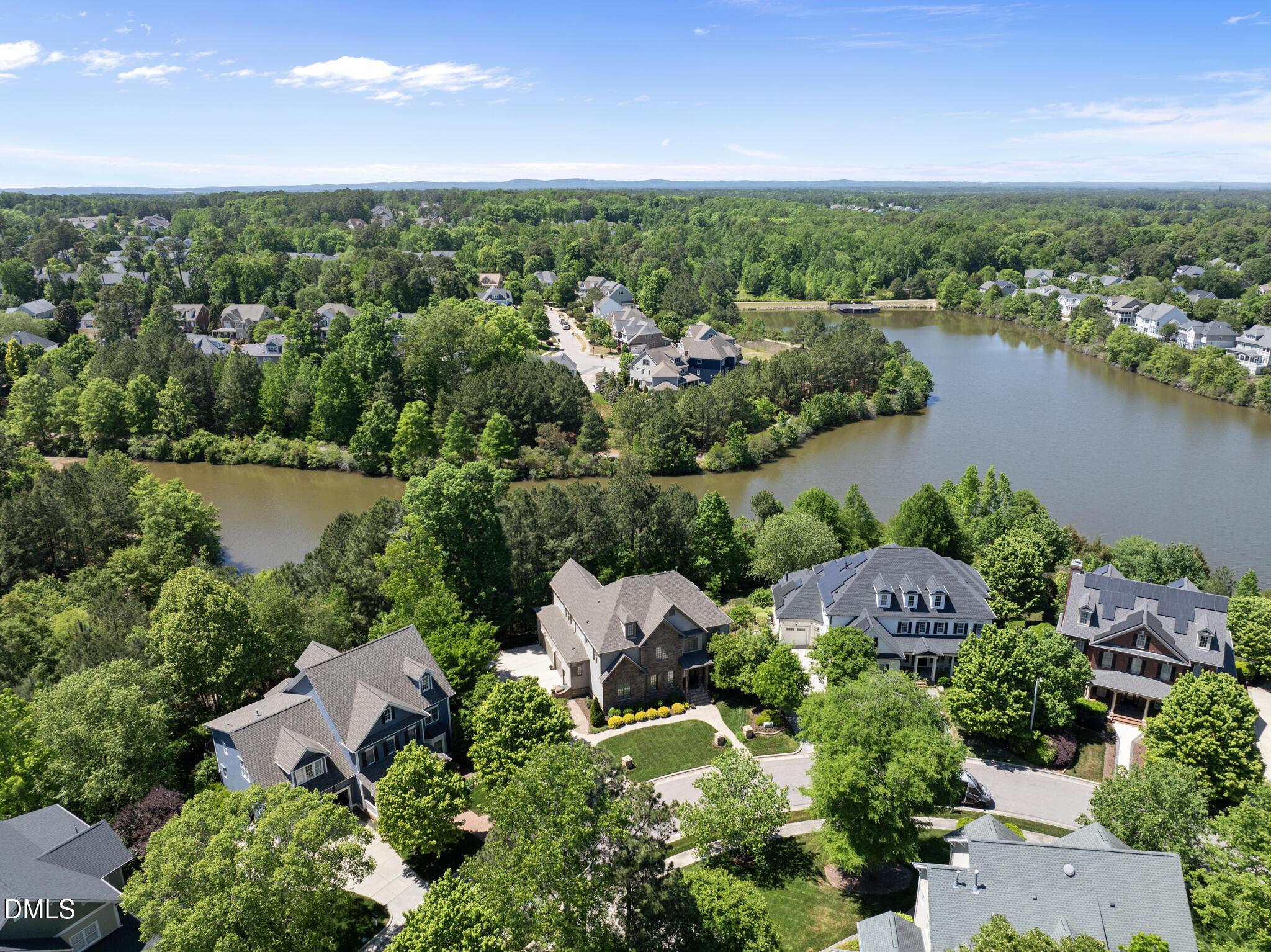 Image 4: Aerial View
