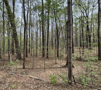0 Lot 336 Forest Hills Drive